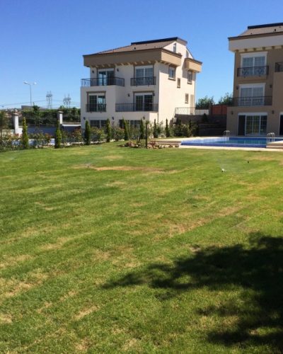 8ba62229d6a706dcd8afd09673d5725d-800x9000